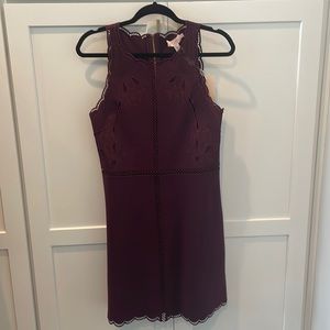 Plum Ted Baker Lace body con dress